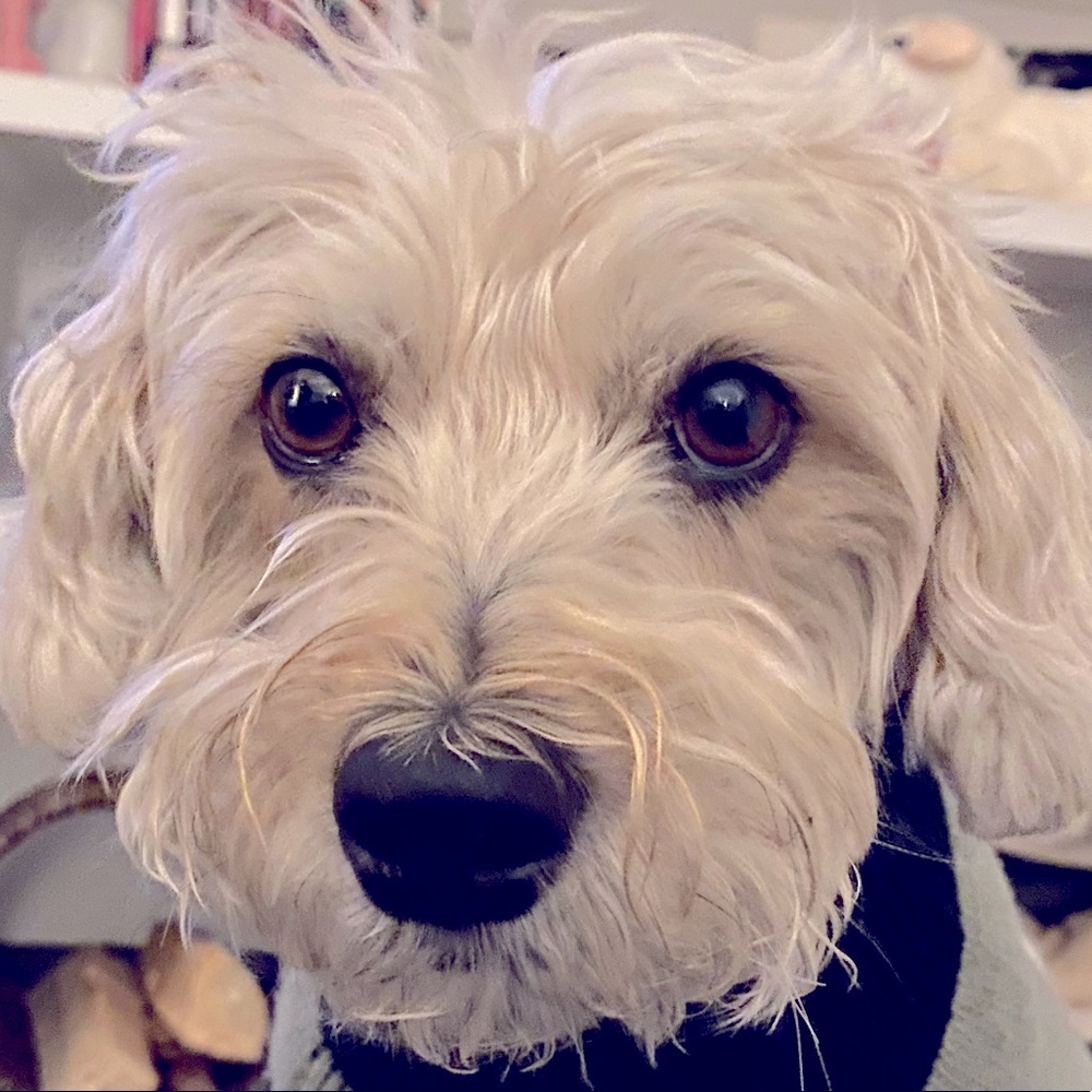 Meet your Posher, Kirsten